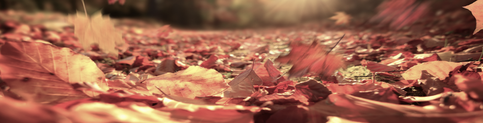 Skärmavbild 2025-09-11 kl. 11.06.11